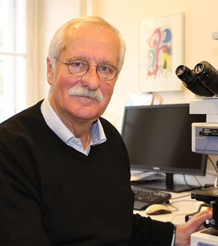 Univ.-Prof. Dr. Hans Lassmann, Foto: Kerstin Huber-Eibl